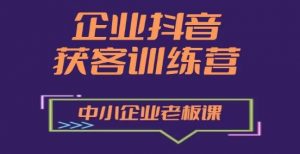 企业抖音营销获客增长训练营，中小企业老板必修课-网创学习资源