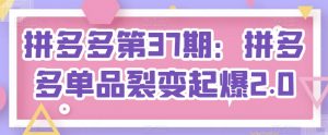 拼多多第37期：拼多多单品裂变起爆2.0-网创学习资源