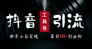 2024最新抖音工具号引流玩法，高效日引300+创业粉，当天变现5k，小白也可成为实战高手-网创学习资源