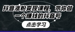 抖音涨粉变现课程，带你做一个赚钱的抖音号-网创学习资源