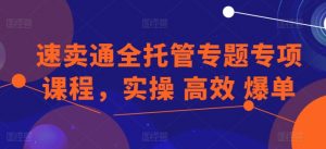 速卖通全托管专题专项课程，实操 高效 爆单-网创学习资源