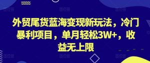 外贸尾货蓝海变现新玩法，冷门暴利项目，单月轻松3W+，收益无上限【揭秘】-网创学习资源