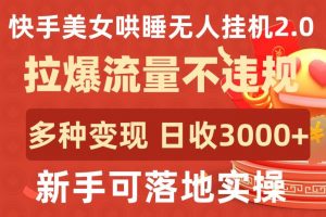 快手美女哄睡无人挂机2.0.拉爆流量不违规，多种变现途径，日收3000+，新手可落地实操【揭秘】-网创学习资源