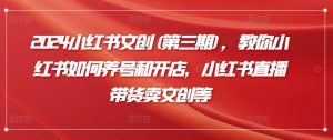 2024小红书文创(第三期)，教你小红书如何养号和开店，小红书直播带货卖文创等-网创学习资源