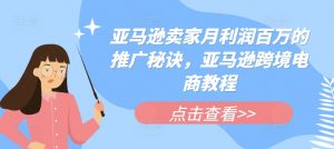 亚马逊卖家月利润百万的推广秘诀，亚马逊跨境电商教程-网创学习资源