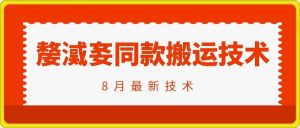 抖音96万粉丝账号【嫠㵄㚣】同款搬运技术-网创学习资源