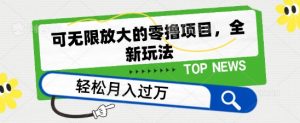 可无限放大的零撸项目，全新玩法，一天单机撸个50+没问题【揭秘】-网创学习资源