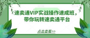 速卖通VIP实战操作速成班，带你玩转速卖通平台-网创学习资源