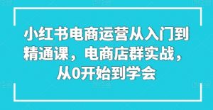 小红书电商运营从入门到精通课，电商店群实战，从0开始到学会-网创学习资源