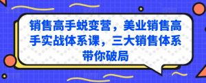 销售高手蜕变营，美业销售高手实战体系课，三大销售体系带你破局-网创学习资源