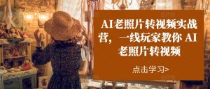 AI老照片转视频实战营，一线玩家教你AI老照片转视频-网创学习资源
