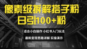 像素级拆解搭子粉，日引100+，小白看完可上手，最新变现思路详解【揭秘】-网创学习资源
