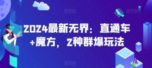 2024最新无界：直通车+魔方，2种群爆玩法-网创学习资源