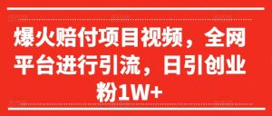 爆火赔付项目视频，全网平台进行引流，日引创业粉1W+【揭秘】-网创学习资源