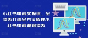 小红书电商实操课，全体系打造全方位梳理小红书电商逻辑体系-网创学习资源