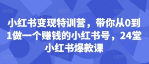 小红书变现特训营，带你从0到1做一个赚钱的小红书号，24堂小红书爆款课-网创学习资源