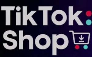 TikTokShop跨境电商0-1实战，手把手教你低成本启动海外市场（更新）-网创学习资源