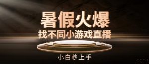 暑假火爆找不同小游戏直播间，小白秒上手【揭秘】-网创学习资源