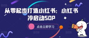 从零起步打造小红书：小红书冷启动SOP-网创学习资源