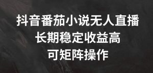 抖音番茄小说无人直播，长期稳定收益高，可矩阵操作【揭秘】-网创学习资源