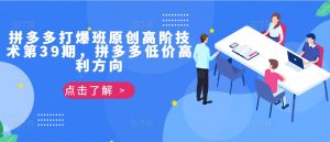 拼多多打爆班原创高阶技术第39期，拼多多低价高利方向-网创学习资源