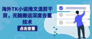 海外TK小说推文混剪干货，无脑搬运深度去重技术-网创学习资源