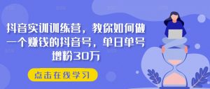 抖音实训训练营，教你如何做一个赚钱的抖音号，单日单号增粉30万-网创学习资源