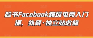 脸书Facebook跨境电商入门课，外贸·独立站必修-网创学习资源