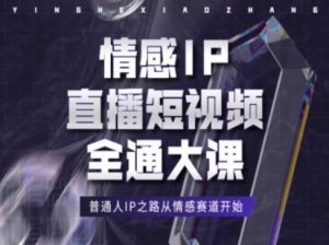 情感IP直播短视频全通大课，普通人IP之路从情感赛道开始-网创学习资源
