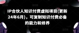 IP合伙人知识付费虚拟项目(更新24年6月)，可复制知识付费必备的能力和修养-网创学习资源