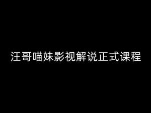 汪哥影视解说正式课程：剪映/PR教学/视解说剪辑5大黄金法则/全流程剪辑7把利器等等-网创学习资源