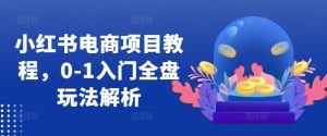小红书电商项目教程，0-1入门全盘玩法解析-网创学习资源