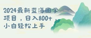 国学项目，长期蓝海可矩阵，从0-1的过程【揭秘】-网创学习资源