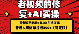 修复老视频的玩法，搬砖+引流的变现(可持久)，单条收益300+【揭秘】-网创学习资源