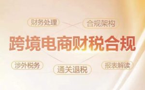 跨境老板财税合规特训营，规避财税风险、提升企业利润-网创学习资源
