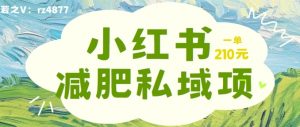 小红书减肥粉，私域变现项目，一单就达210元，小白也能轻松上手【揭秘】-网创学习资源