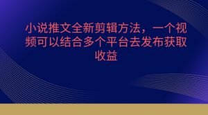 小说推文全新剪辑方法，一个视频可以结合多个平台去发布获取【揭秘】-网创学习资源