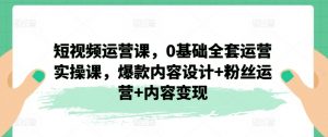 短视频运营课，0基础全套运营实操课，爆款内容设计+粉丝运营+内容变现-网创学习资源
