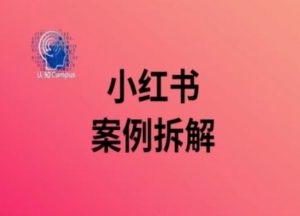 小红书案例拆解，深度解读小红书40万粉-网创学习资源