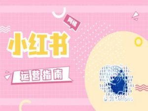 小红书运营指南，没有套路，全是经验-网创学习资源