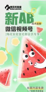 梅花实验室2024年AB技术视频号AB合成破解版-网创学习资源