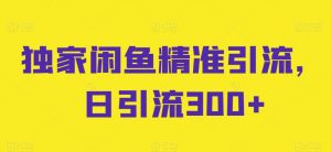 独家闲鱼精准引流，日引流300+【揭秘】-网创学习资源