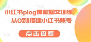 小红书plog爆款图文训练，从0到1搭建小红书账号-网创学习资源