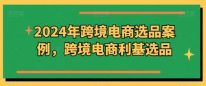 2024年跨境电商选品案例，跨境电商利基选品（更新）-网创学习资源