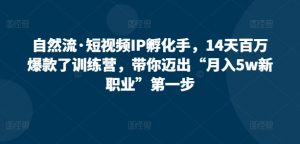自然流·短视频IP孵化手，14天百万爆款了训练营，带你迈出“月入5w新职业”第一步-网创学习资源