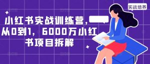 小红书实战训练营，从0到1，6000万小红书项目拆解-网创学习资源