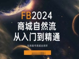 2024Faceboo商城自然流(从入门到精通)，玩转脸书商城全闭环-网创学习资源
