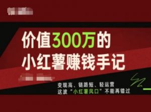价值300万的小红书赚钱手记，变现高、链路短、轻运营，这波“小红薯风口”不能再错过-网创学习资源