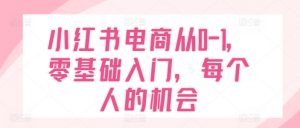 小红书电商从0-1，零基础入门，每个人的机会-网创学习资源