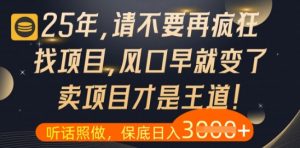 什么？25年你还在疯狂找项目做，醒醒吧，看完这些你全都懂了【揭秘】-网创学习资源